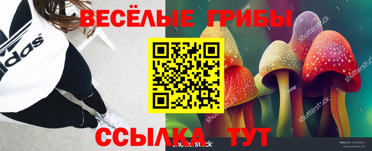 Псилоцибиновые грибы GOLDEN TEACHER  Вход с VPN  Сибай 